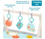 KIDS II DISNEY BABY PODLOGA ZA IGRU - WINNIE THE POOH ONCE UPON A TUMMY TIME ™ 13124 0M+ - Слика 4