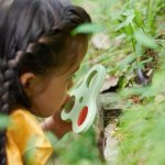 Drveni set Istraživanje prirode - Слика 3