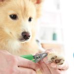 Makaze za secenje noktiju Curved Nail - Слика 2