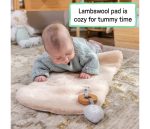 KIDS II INGENUITY LEZALJKA EVERY SEASON™ - WESLEY 16855 0-30m (MAX 18kg) - Слика 3