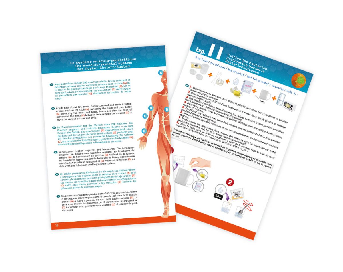 Ljudsko telo 103110 - Слика 5