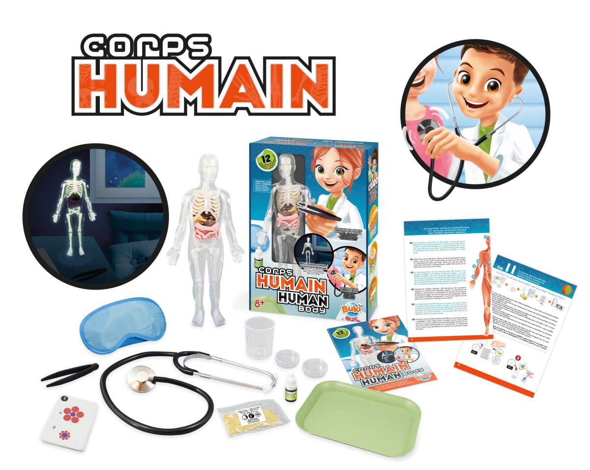 Ljudsko telo 103110 - Слика 2