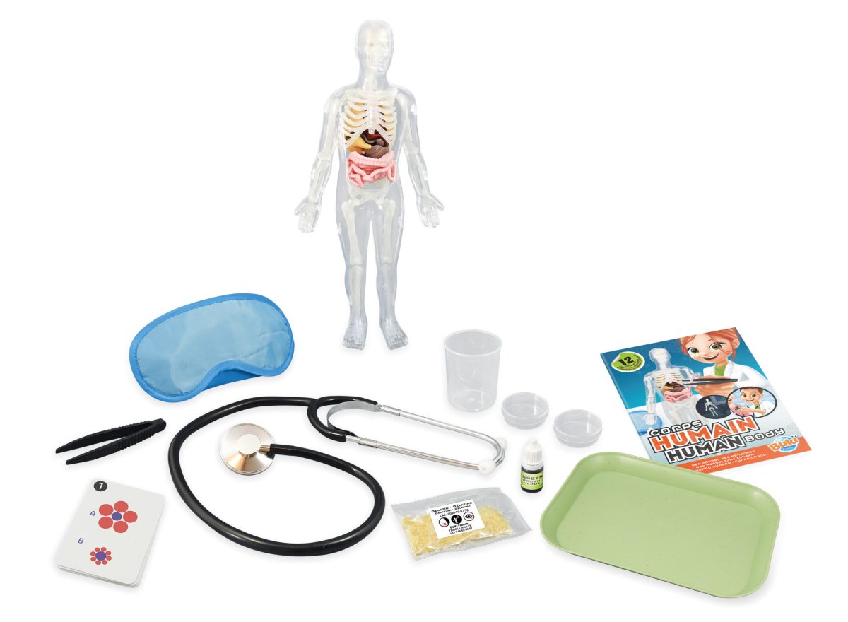 Ljudsko telo 103110 - Слика 4