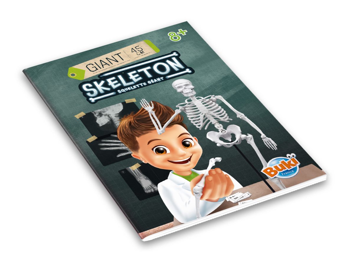 Skelet 104308 - Слика 5