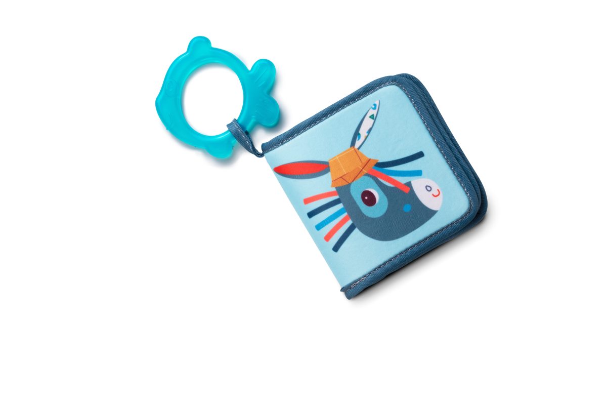 IGNJASOVA KNJIGA ZA KUPANJE - Слика 1