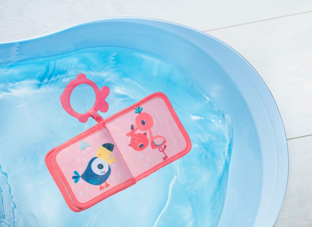 ANAISINA KNJIGA ZA KUPANJE - Слика 2