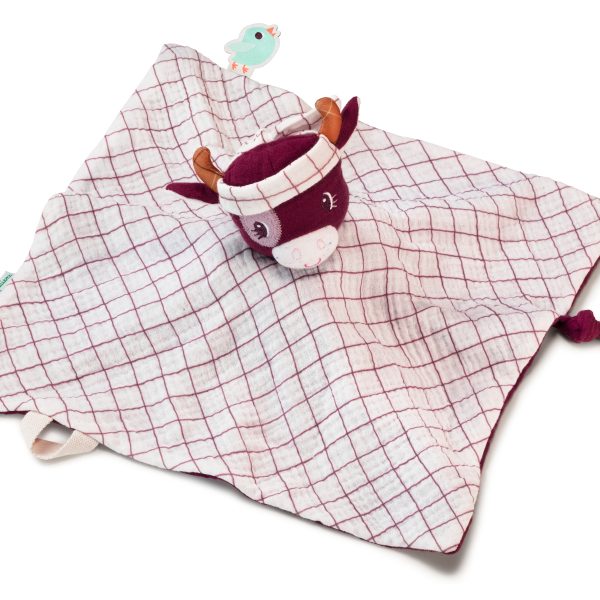 ROSALI MOJE PRVO ĆEBENCE ZA MAŽENJE