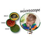 Prenosivi mikroskop Paukovo oko - Слика 4