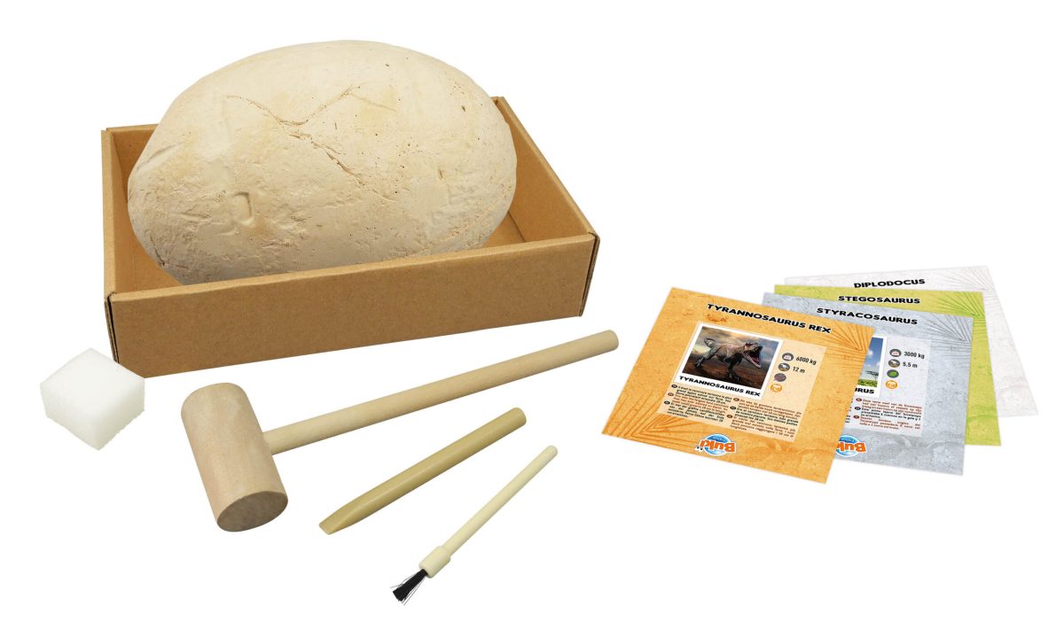 Dino jaje 204100 Buki - Слика 7