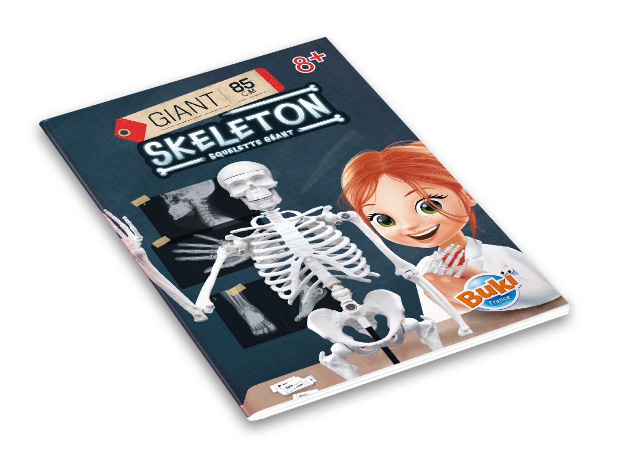 Skelet 104919 BUKI - Слика 5