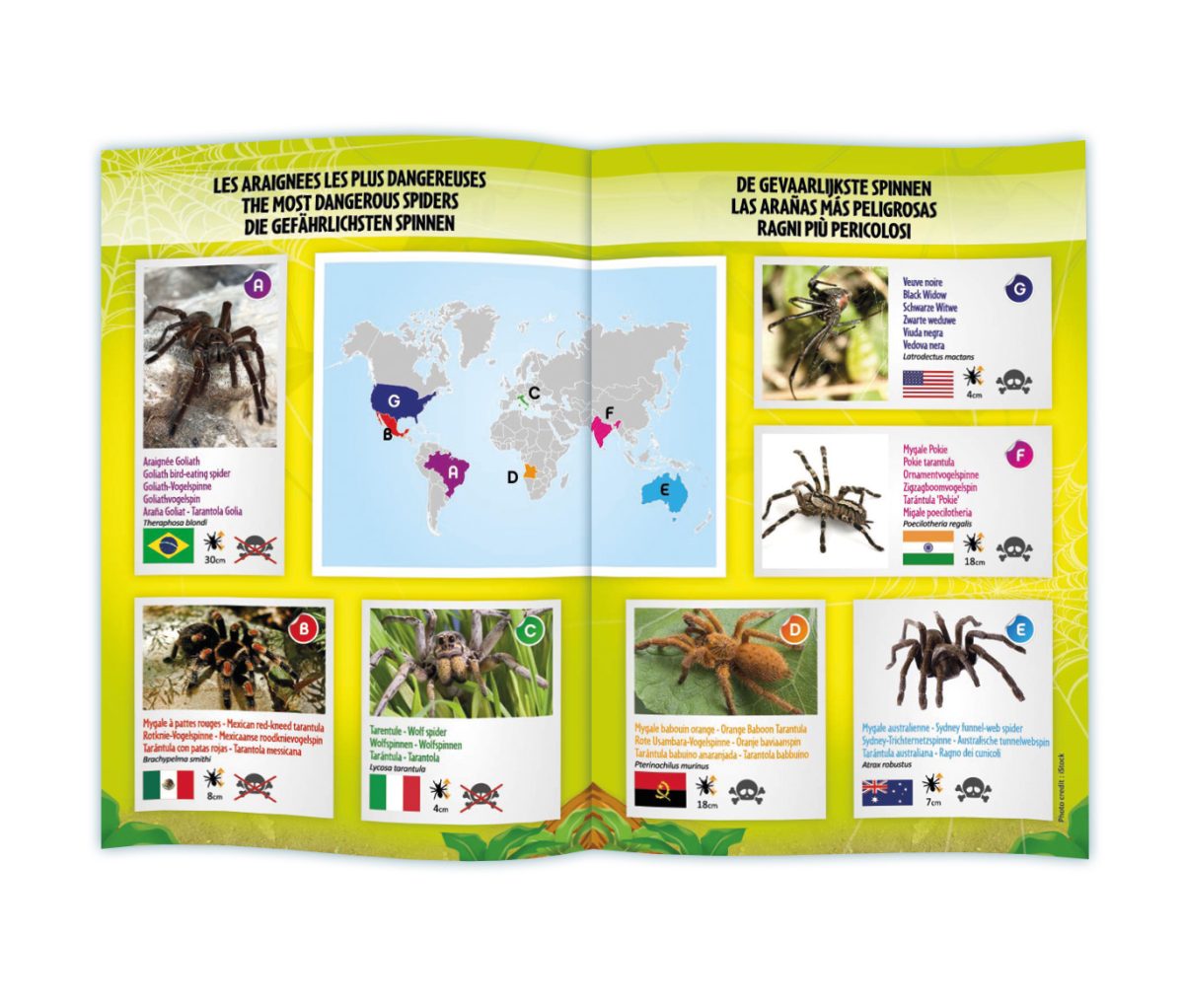 Tarantula 100942 Buki - Слика 5