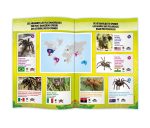 Tarantula 100942 Buki - Слика 5