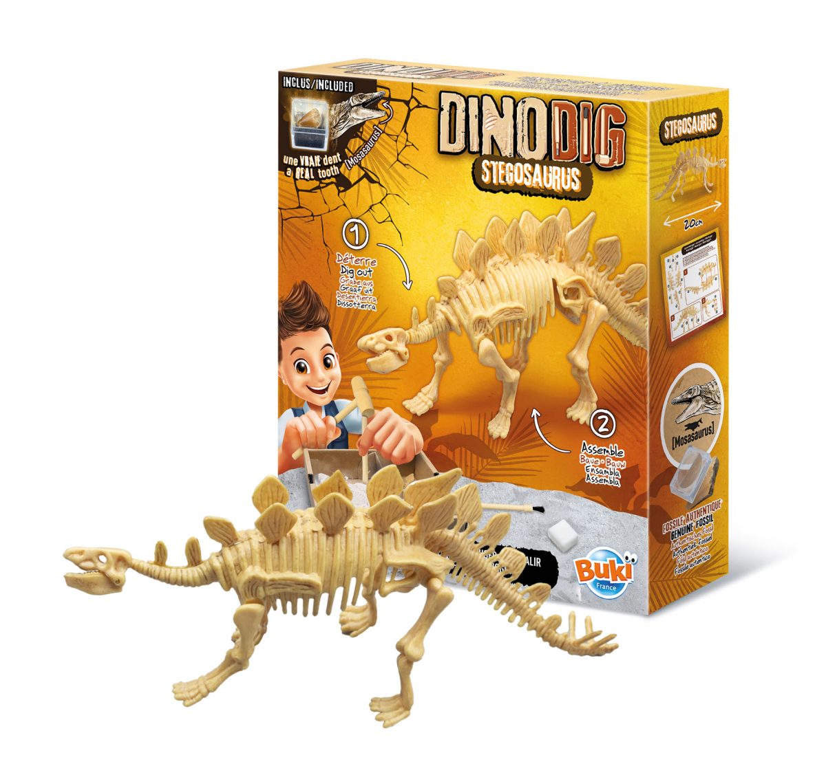 Dino iskopina 105978 Buki - Слика 5