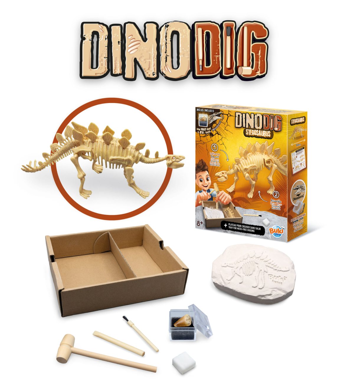 Dino iskopina 105978 Buki - Слика 4