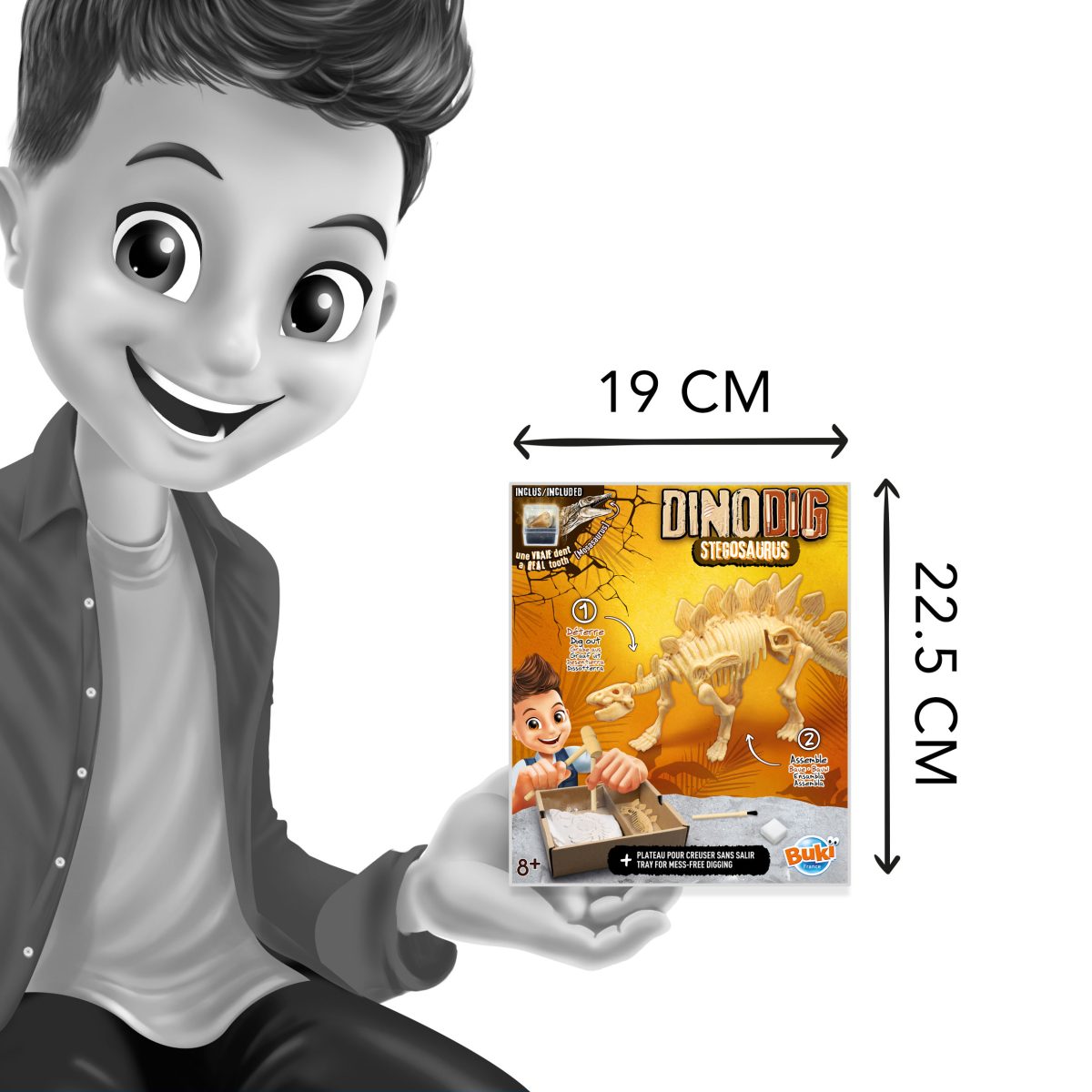 Dino iskopina 105978 Buki - Слика 3