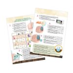 Studio za sveće 102878 Buki - Слика 3