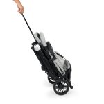 Jungle kolica "QUAD", 0m+ - Слика 12