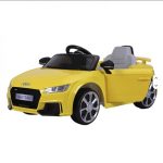 BIC.AUD TT RS JE1198 YELLOW - Слика 6