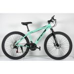 BIC.27.5" MAXIMUS GREEN