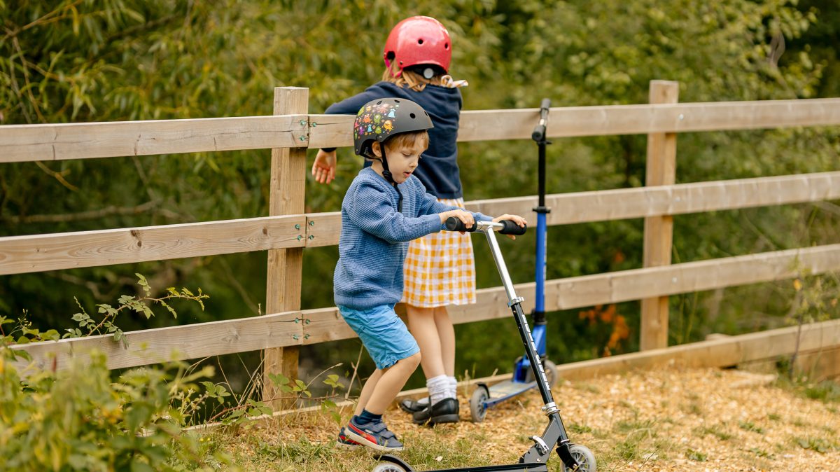 Trotinet za decu Deluxe Sapphire 2 točka do 100 kg plava Bold Cube - Слика 14