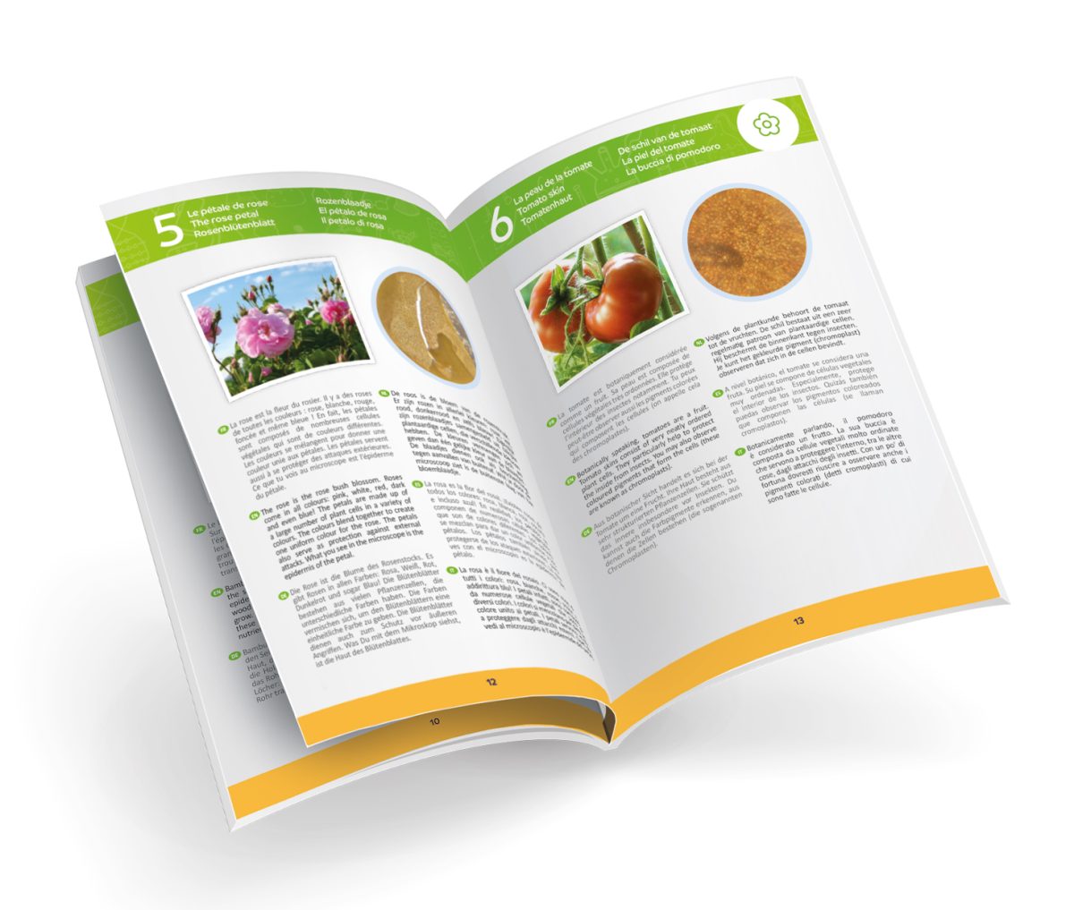 Mikroskop shop 106487 - Слика 3