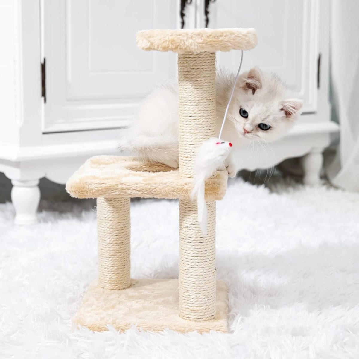 ČEŠKO ZA KUĆNE LJUBIMCE BOLZZ XS BIEGE - Слика 2