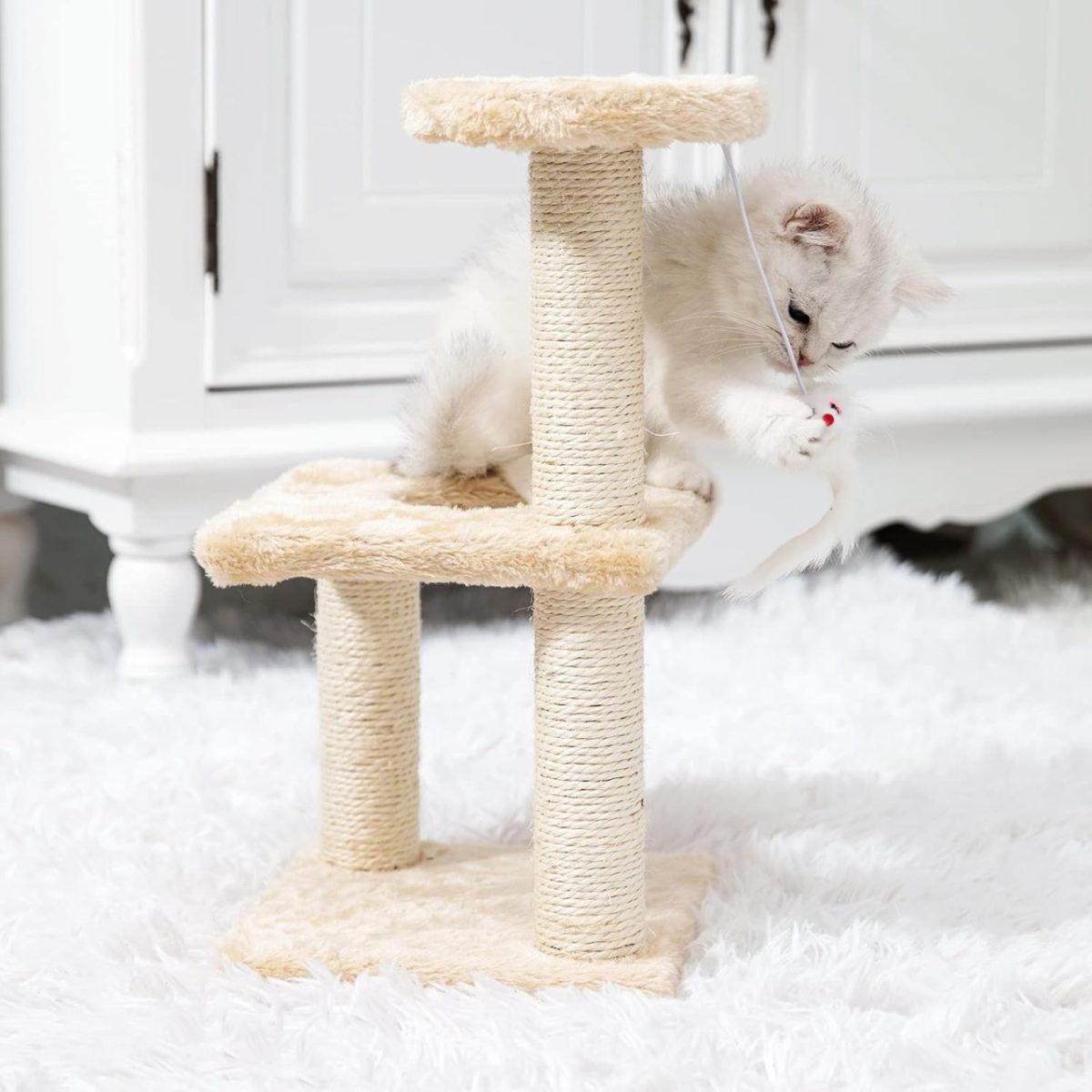 ČEŠKO ZA KUĆNE LJUBIMCE BOLZZ XS BIEGE - Слика 4