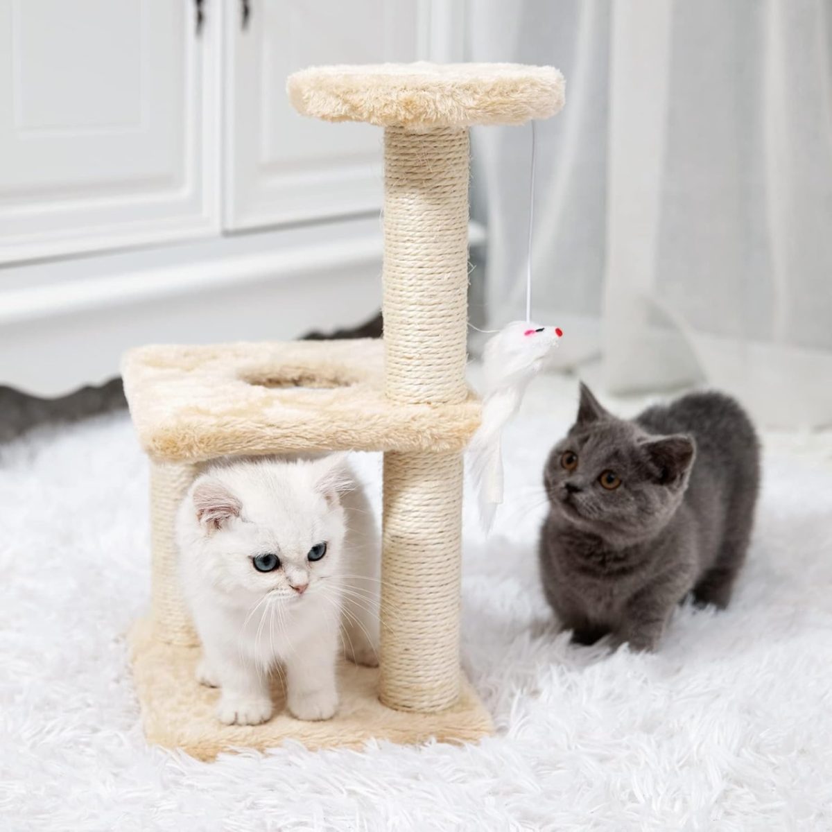 ČEŠKO ZA KUĆNE LJUBIMCE BOLZZ XS BIEGE - Слика 5