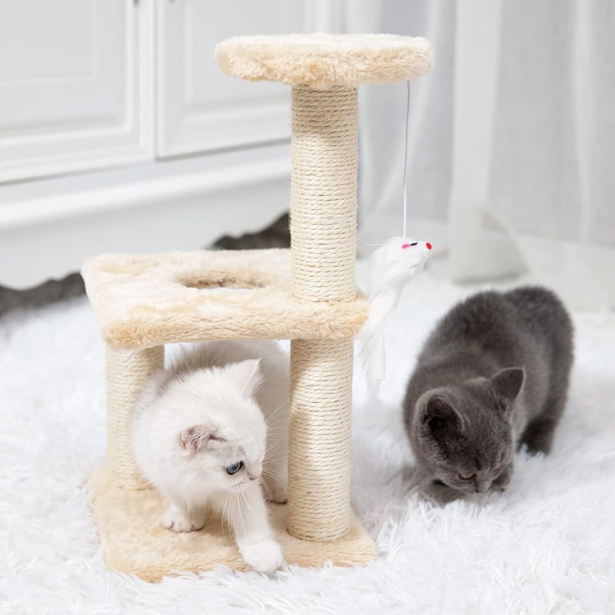 ČEŠKO ZA KUĆNE LJUBIMCE BOLZZ XS BIEGE - Слика 6