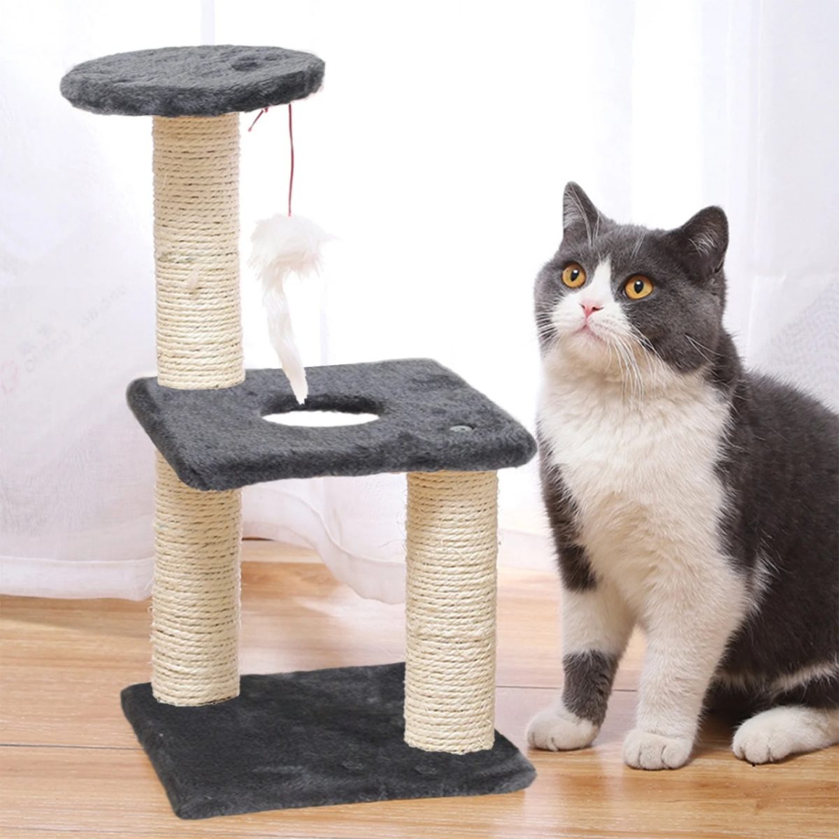 ČEŠKO ZA KUĆNE LJUBIMCE BOLZZ XS DARK GRAY - Слика 7