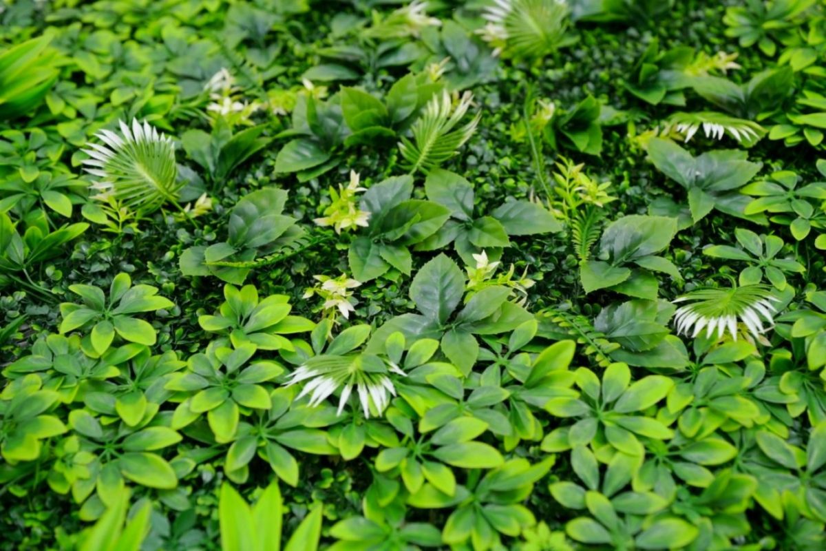 ZELENI ZID 3D JUNGLE 100X100 CM - Слика 2