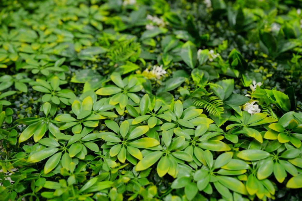 ZELENI ZID 3D TARA 1 100X100 CM - Слика 2