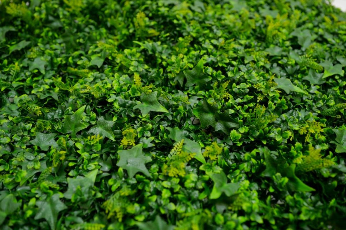 ZELENI ZID 3D TARA 2 100X100 CM - Слика 2