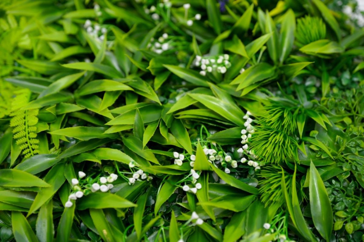 ZELENI ZID 3D WOOD 50X50 CM - Слика 2