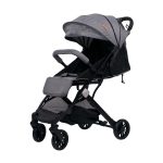 Jungle kolica "QUAD", 0m+ - Слика 3