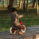 Qplay balanser Trainer - Слика 8