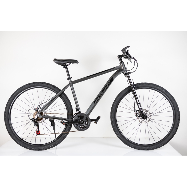 6a4deac1445a1 (1) Maximus 29" MTB – Aluminijumski Mountain Bike sa 21 brzinom - Слика 1