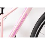 Maximus 29" MTB – Aluminijumski Mountain Bike sa 21 brzinom - Слика 5