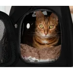 Purlov Transporter Torba za Pse 43x32x27 cm - Слика 7