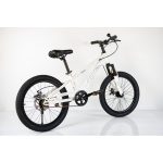 Dečiji bicikl Winner bike 20 inča beli BCK0954 - Слика 8